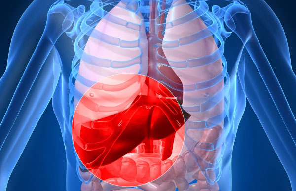 Jornada de reflexiones sobre la hepatitis