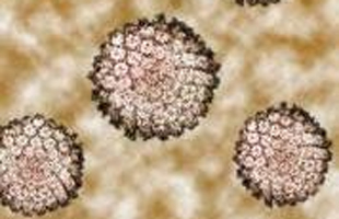 HPV