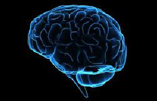 Un parche podría moniterear el cerebro de pacientes con ACV