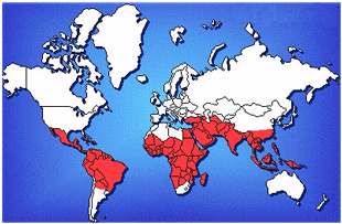 La mitad de la población mundial corre el riesgo de padecer paludismo