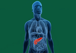 Identifican nueva molécula para tratar cáncer de páncreas