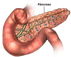 Hallazgo para detectar cáncer de páncreas