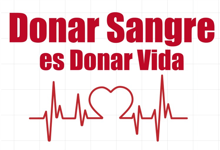 Día Nacional del Donante Voluntario de Sangre en Argentina. Dónde donar…