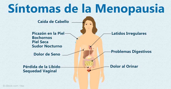 Las menstruaciones irregulares no son raras en la década previa a la menopausia