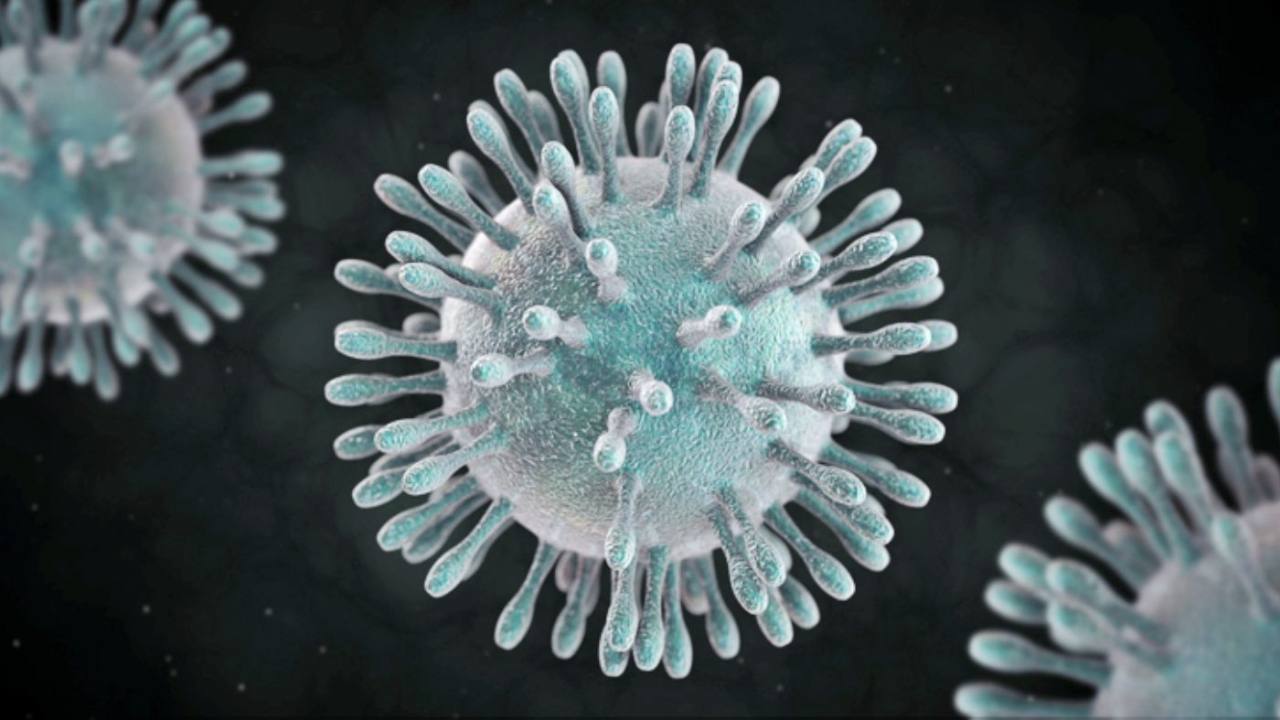 Coronavirus, que son, como se transmiten, riesgos y síntomas