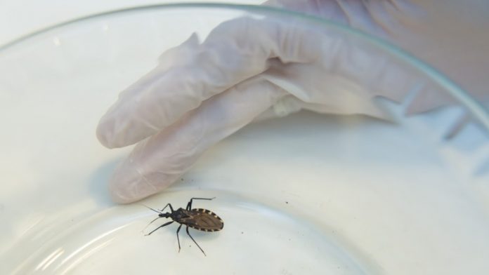 Mal de Chagas