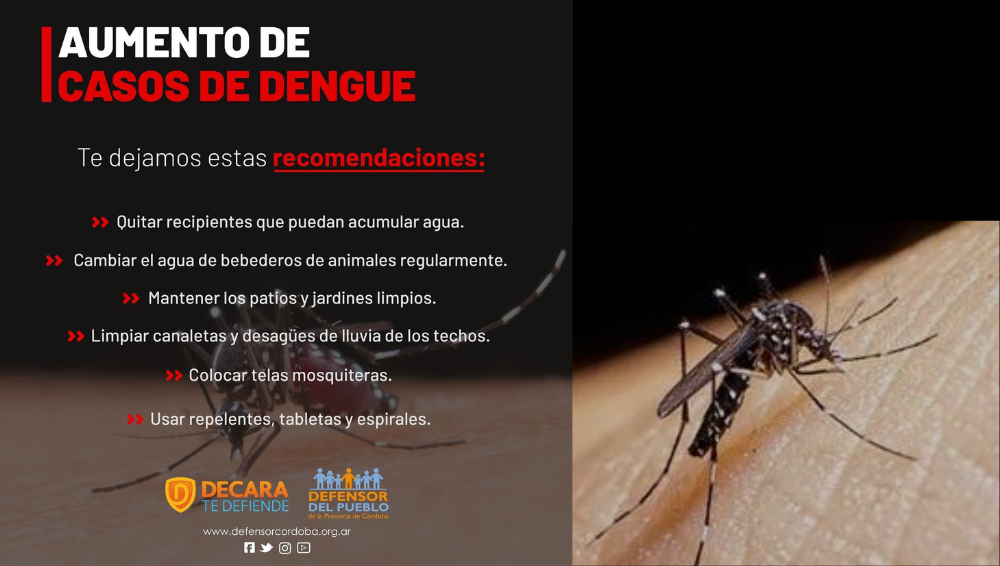 Prevención del dengue