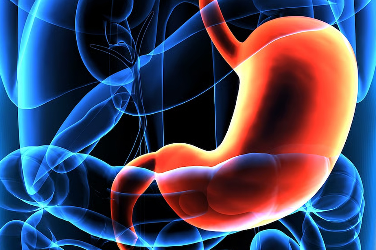 Descubren una inmunoterapia eficaz contra el cáncer de estómago