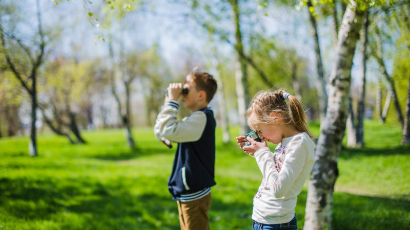 Los espacios verdes promueven un mejor desarrollo cerebral entre los niños