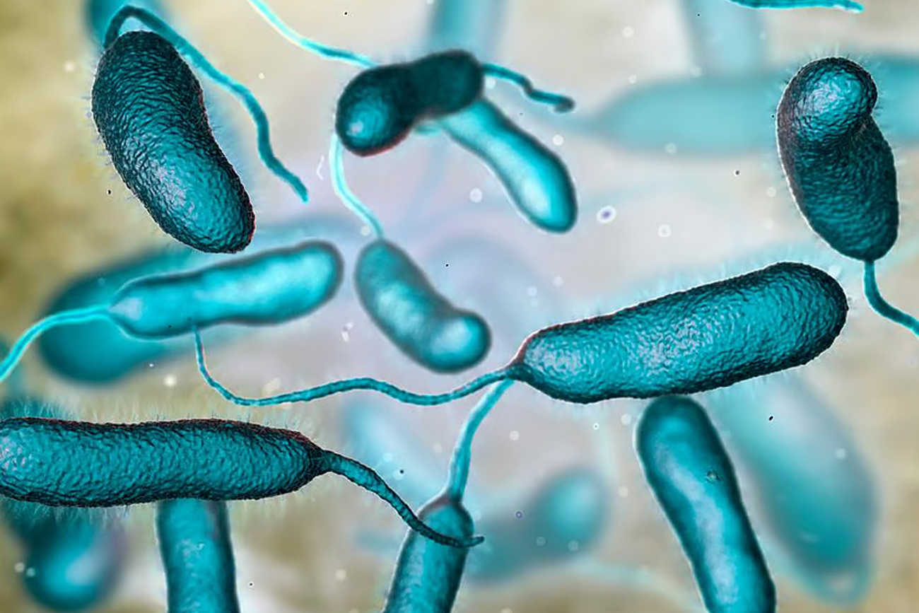 Una rara bacteria carnívora ya se cobró cinco vida en Louisiana