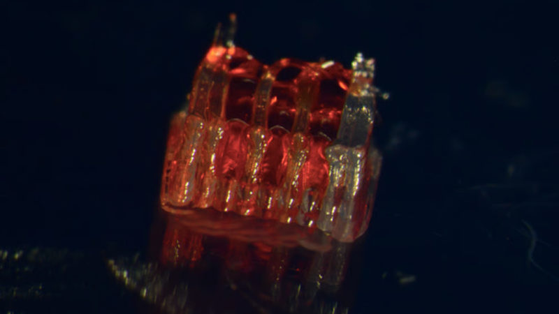 La impresión 3D ofrece esperanza para las lesiones de médula espinal