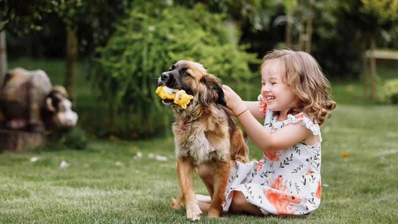 Los perros (pero no los gatos) podrían proteger contra el asma infantil