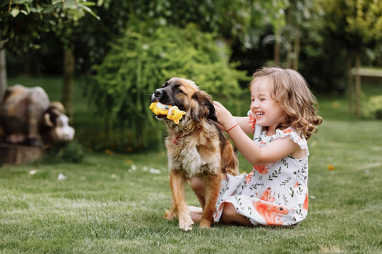 Los perros (pero no los gatos) podrían proteger contra el asma infantil