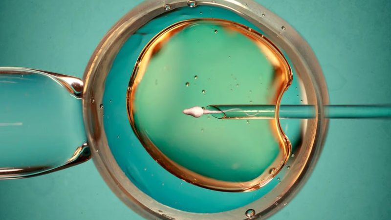 FIV con ovulación natural: tan eficaz como la hormonal y con menos riesgos