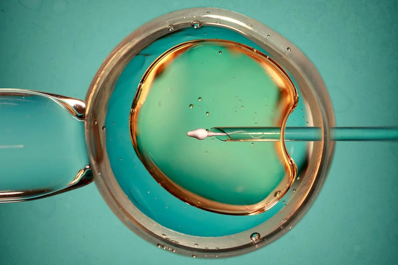 Estudio descarta mayor riesgo de cáncer por tratamientos de fertilidad