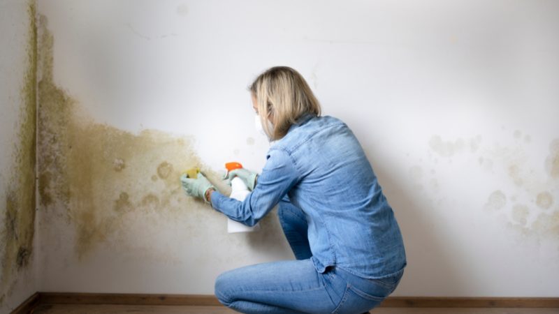 Filtraciones en aumento: cómo la humedad en el hogar impacta en la calidad de vida