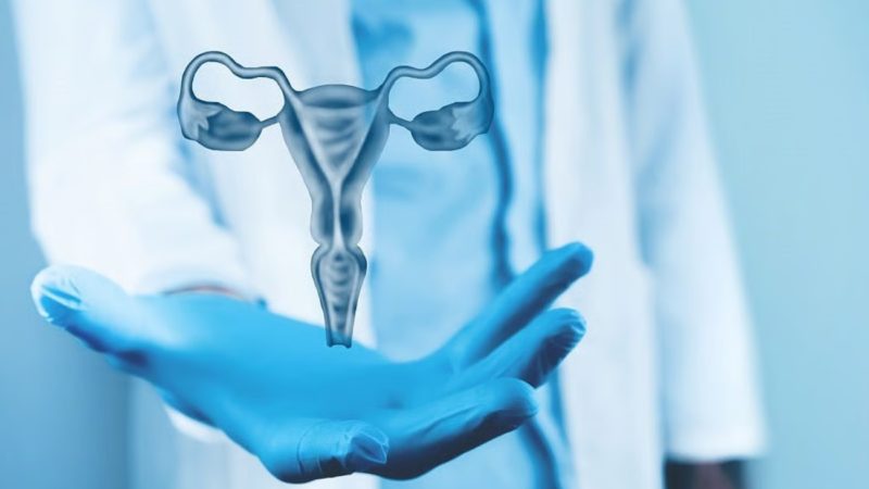 Prolapso pélvico: la afección que millones de mujeres padecen en silencio y suele confundirse con “algo normal”