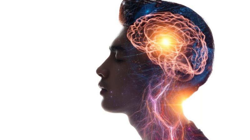 Hablar varios idiomas podría ayudar a mantener un cerebro más joven