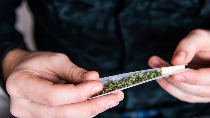 El consumo frecuente de marihuana se asocia con niveles más altos de la hormona del estrés