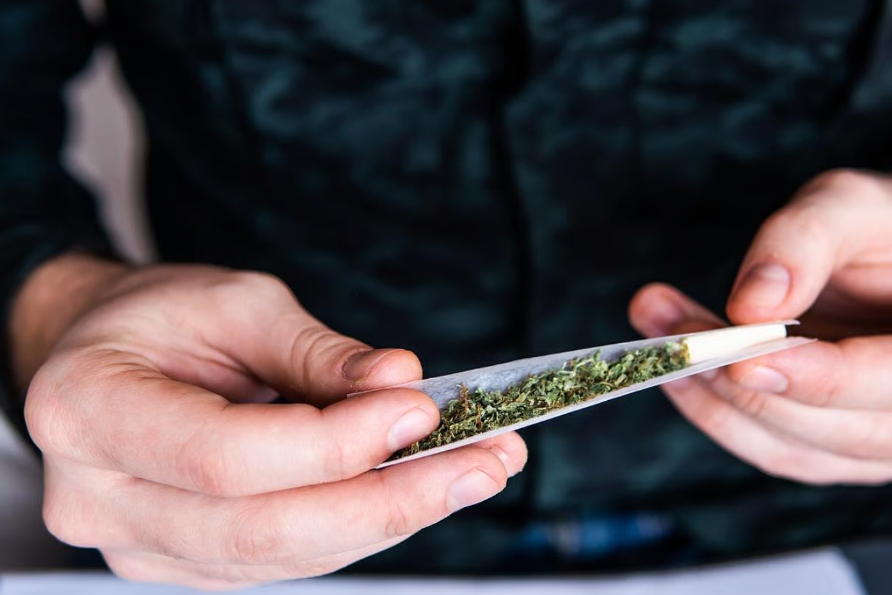 El consumo frecuente de marihuana se asocia con niveles más altos de la hormona del estrés