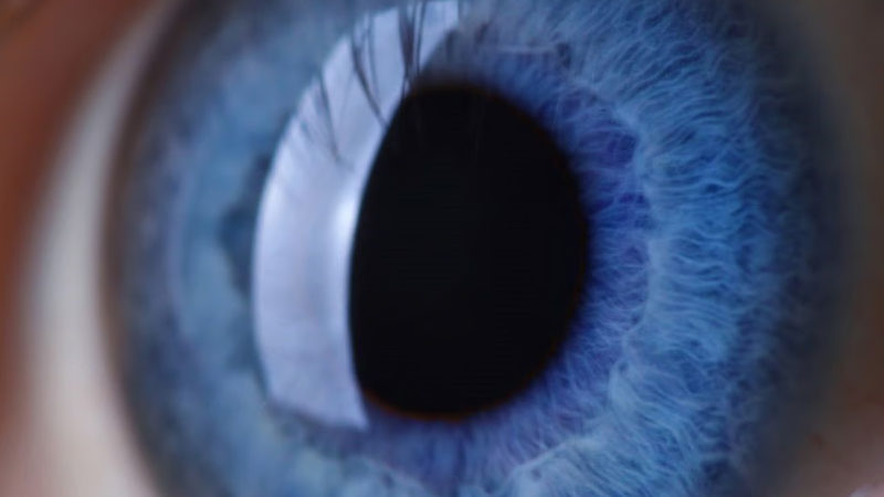 La contaminación del aire podría aumentar el riesgo de glaucoma y cataratas